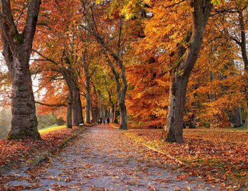 Il mal d’autunno crea ansia e malinconia, 3 rimedi per sconfiggerlo